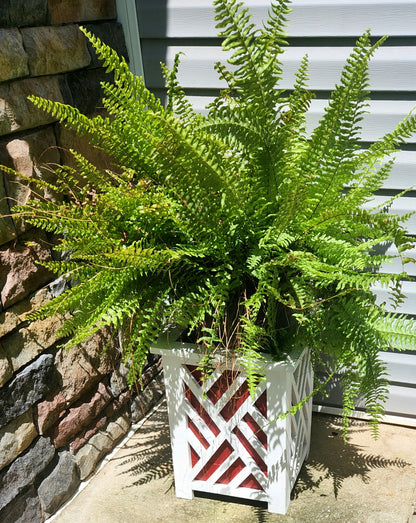 Modern Medium Planter