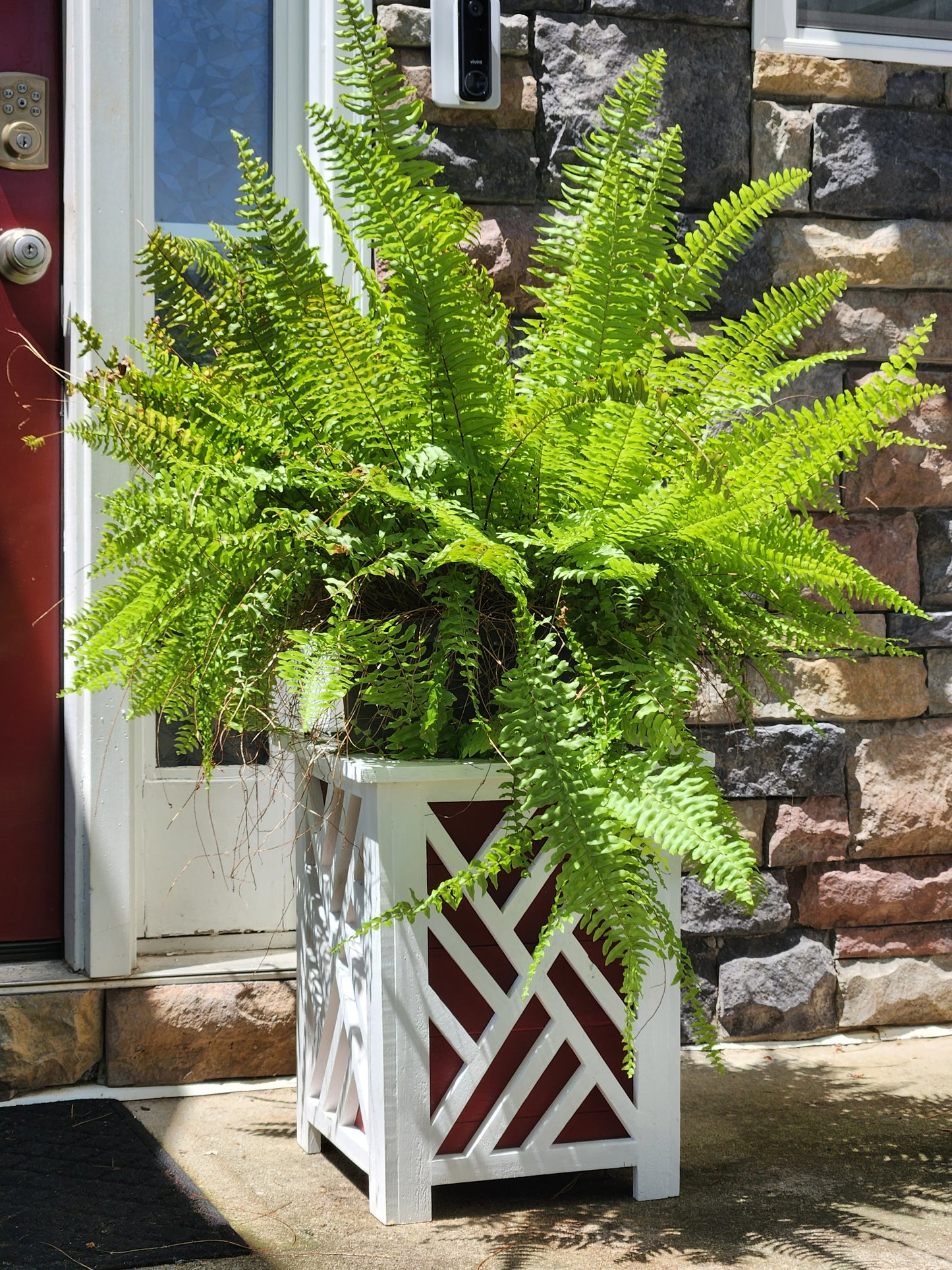 Modern Medium Planter