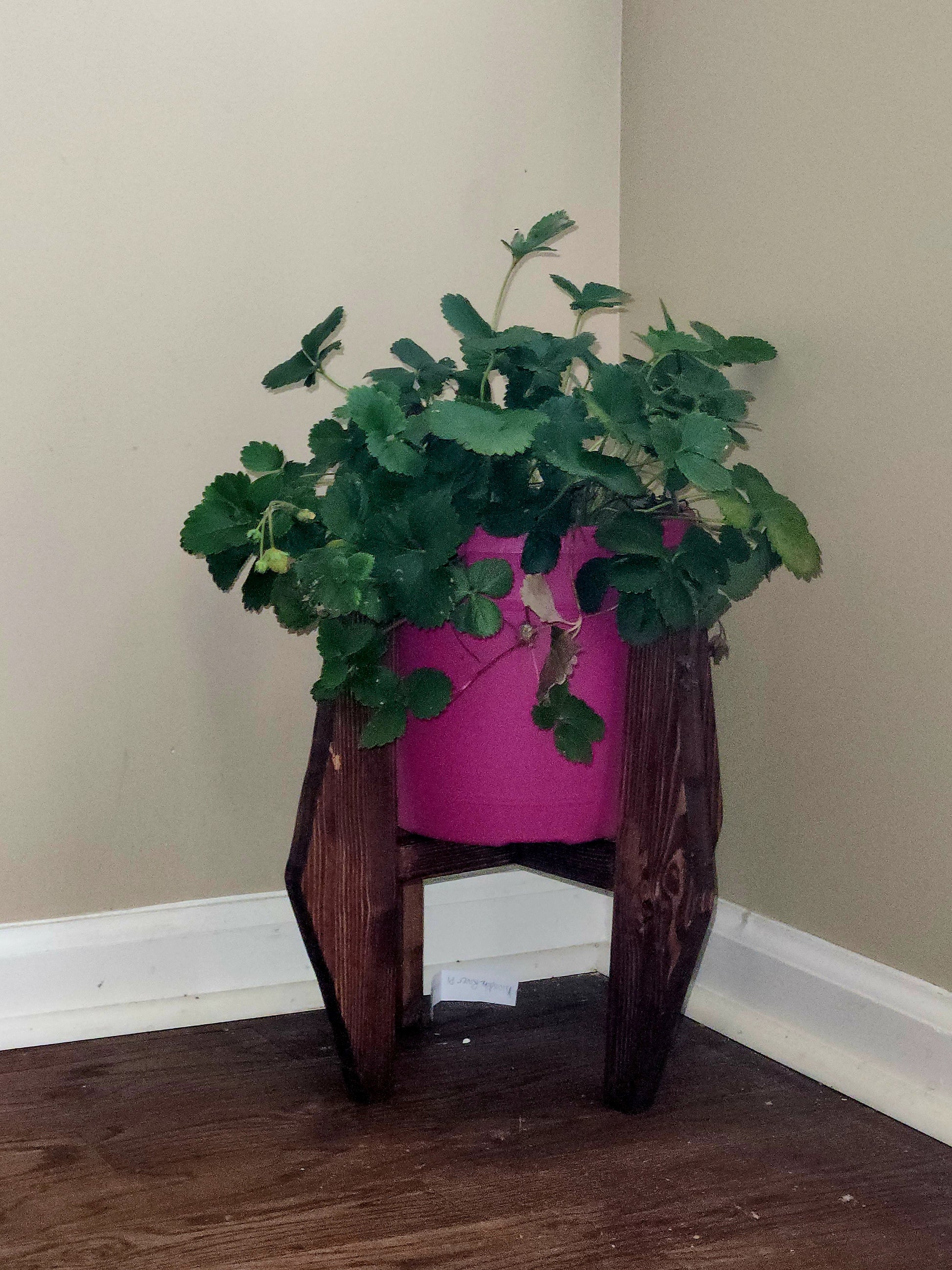 small wood plant pot Small Modern Planter
